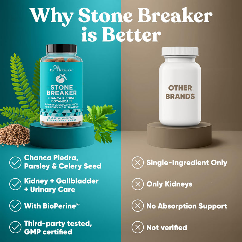 Chanca Piedra Stone Breaker - The Original Stone Breaking Formula with Celery Seed & Parsley - Supports Kidney, Gallbladder & Urinary Tract Cleansing to Help Flush Impurities - 60 Vegetarian Capsules 60 Count (Pack of 1) - BeesActive Australia