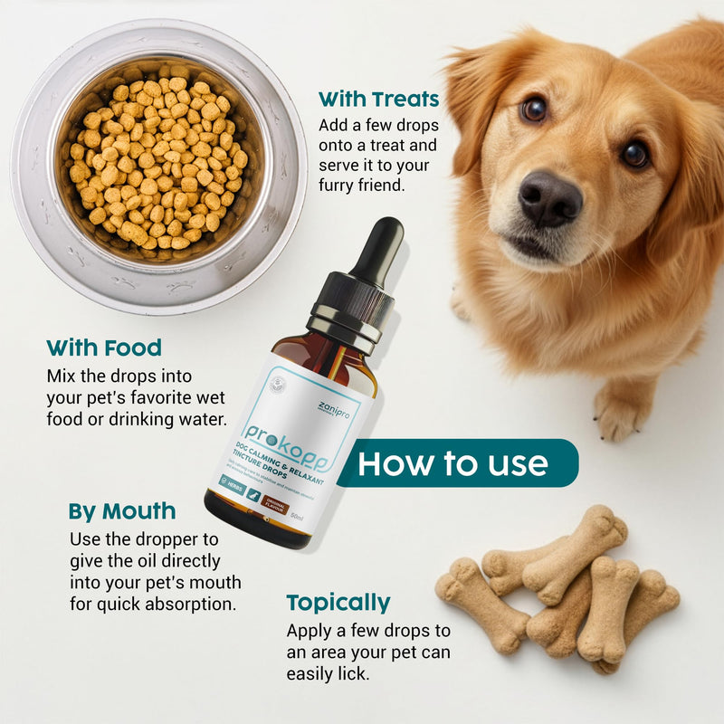 Valerian Dog Calming Drops - 100% Natural Herbal Dog Anxiety Relief Calmer, Skullcap and Valerian Drops for Dogs, Use for Stress, Separation, Sleep & Fireworks Calming for Dogs | 50ml