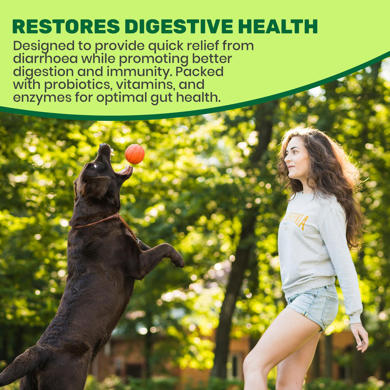 Diarrhoea Aid Tablets for Dogs