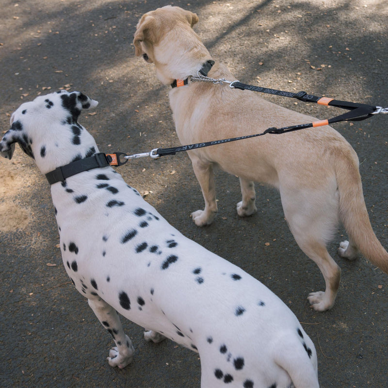 HOWGO Double Dog Leash, No Tangle 360°Swivel Dual Dog Leash, Adjustable Dual Padded Handles, Double Clip Dog Leash Coupler, Leash Splitter for Large and Medium Dogs (Black, 4/5'' x 0.9 FT) Black w/o Handle (30-150 lbs) - BeesActive Australia
