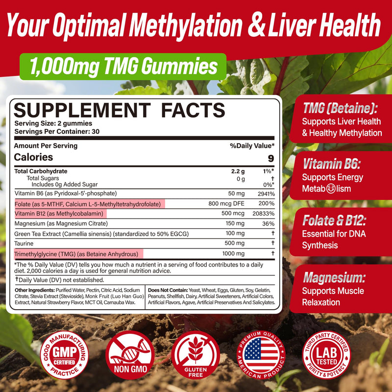 2Pack TMG Gummies 1000mg Betaine Anhydrous, Methylated B Complex, Magnesium | Methylated Multivitamin, Methylfolate B12 B6 + Magnesium Taurine, Trimethylglycine for Homocysteine Levels, Brain, Energy
