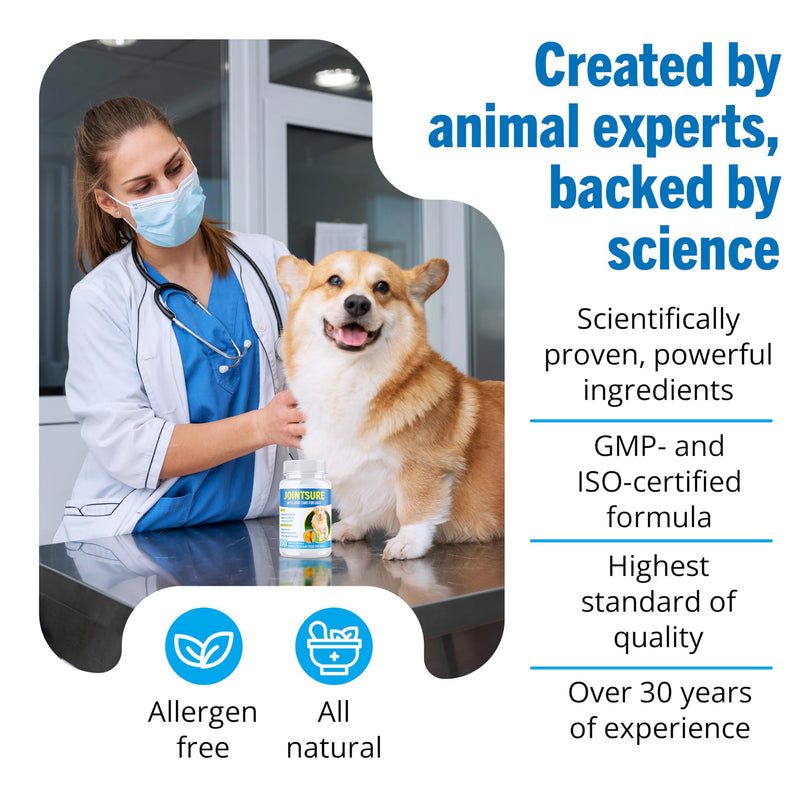 Joint Supplements for Dogs – 300 Tabs, Aids Stiff Joints, Supports Joint Structure & Maintains Mobility in Adult/Senior Dogs | Advanced Formula with glucosamine. Helps Arthritis Relief (pack varies) 300 Tablets
