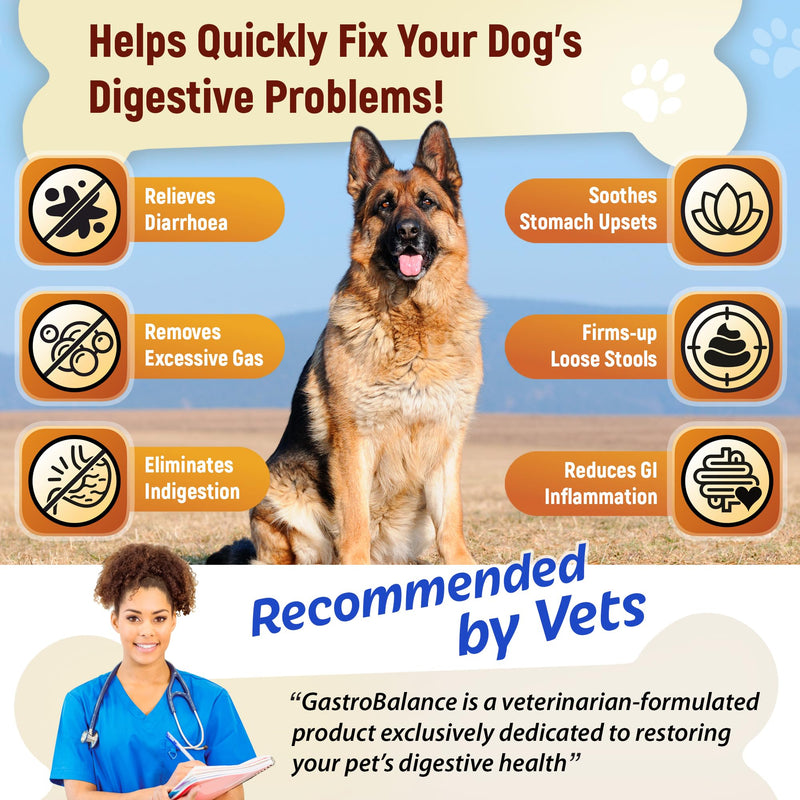 fast-acting diarrhoea relief for dogs – Natural dog diarrhea treatment with immediate results (for large dogs > 10 kg) for large dogs > 10 kg