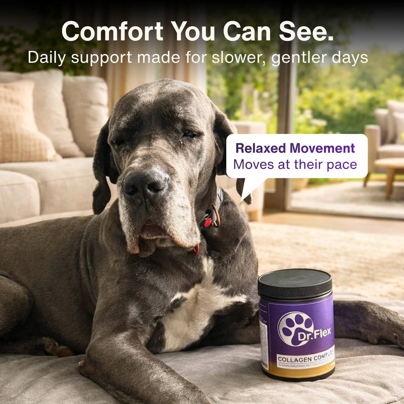 Dr. Flex Collagen Powder for Dogs | 300g Bovine & Marine Collagen | Joint & Mobility Support for All Dogs | High Strength Vitamin B Complex (B1 B2 B3 B5 B9 B12) | Aids Skin, Coat Health & Digestion Collagen Complex