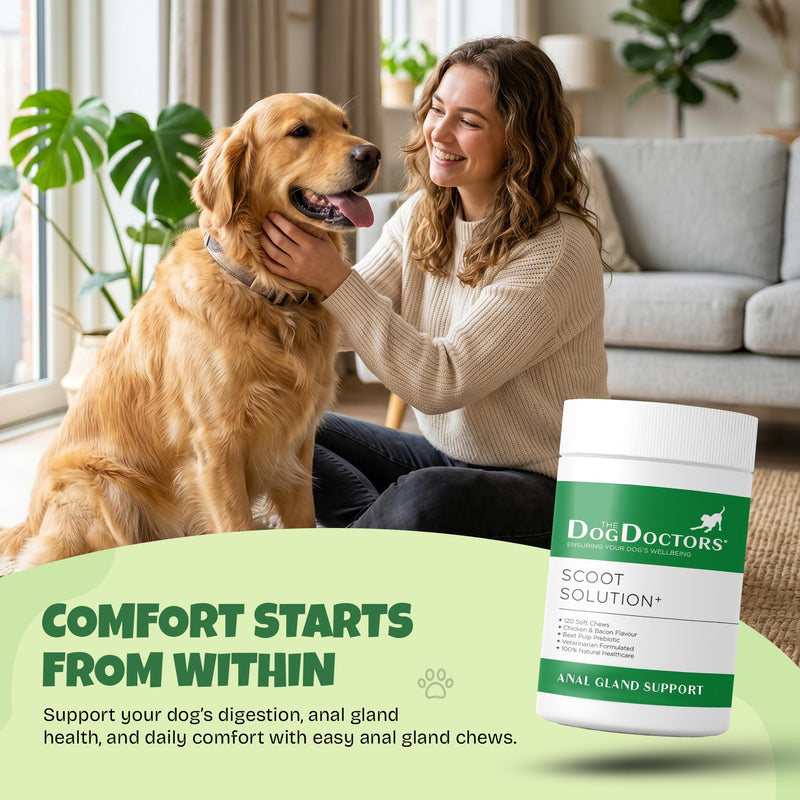 The Dog Doctors Scoot Solutions 120 Soft Chews – Digestive Chews for Dogs – Fibre Blend Soft Chews for Digestive Health, Gut Balance & Dog Anal Gland Support 120 count (Pack of 1)