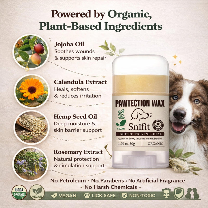 Dog Paw Balms – Organic Lick-Safe Paws Balm, Moisturizing Dogs Paw Protector for Cracked Paws & Dog Nose Balm – Soothing, Plant-Based Pet Balm Dogs & Cats with Natural Scent 50g