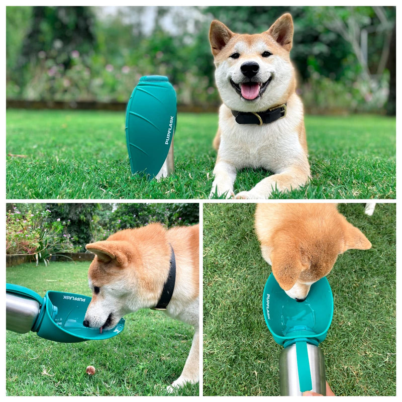 PupFlask Large Dog Water Bottle | 27 or 40 OZ Stainless Steel | Convenient Water Dispenser | Puppy Travel Water Bowl | Portable Pet Leak Proof Bottle Perfect Size For All Dog Breeds 27 Ounce Quetzal Green - BeesActive Australia