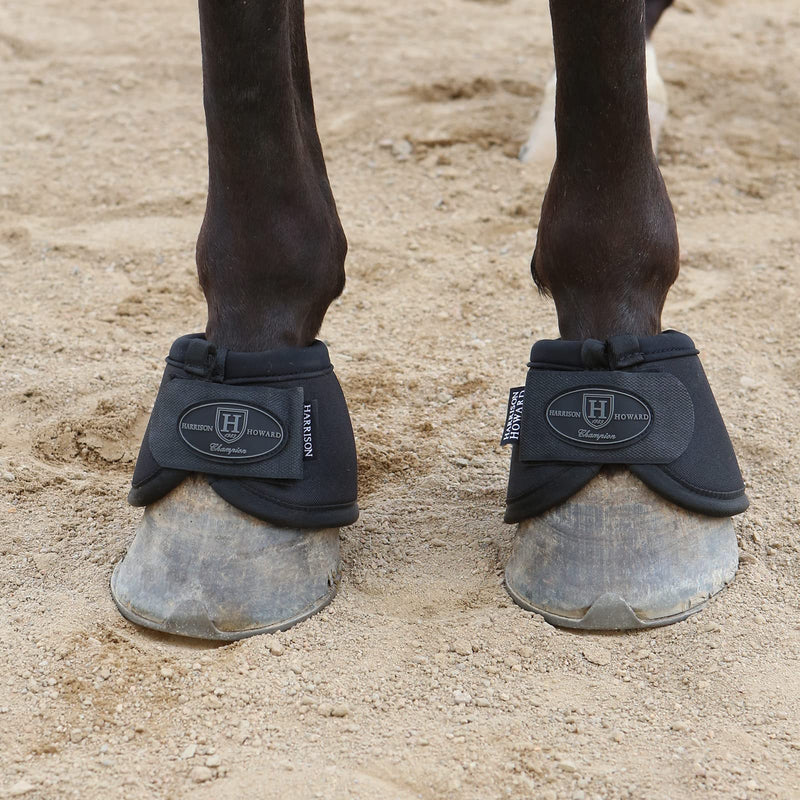 Harrison Howard Horse Bell Boots Overreach Bell Boots No-Turn Bell Boots for Horse-Durable Protective Hoof Boot Full (Large) Black - BeesActive Australia