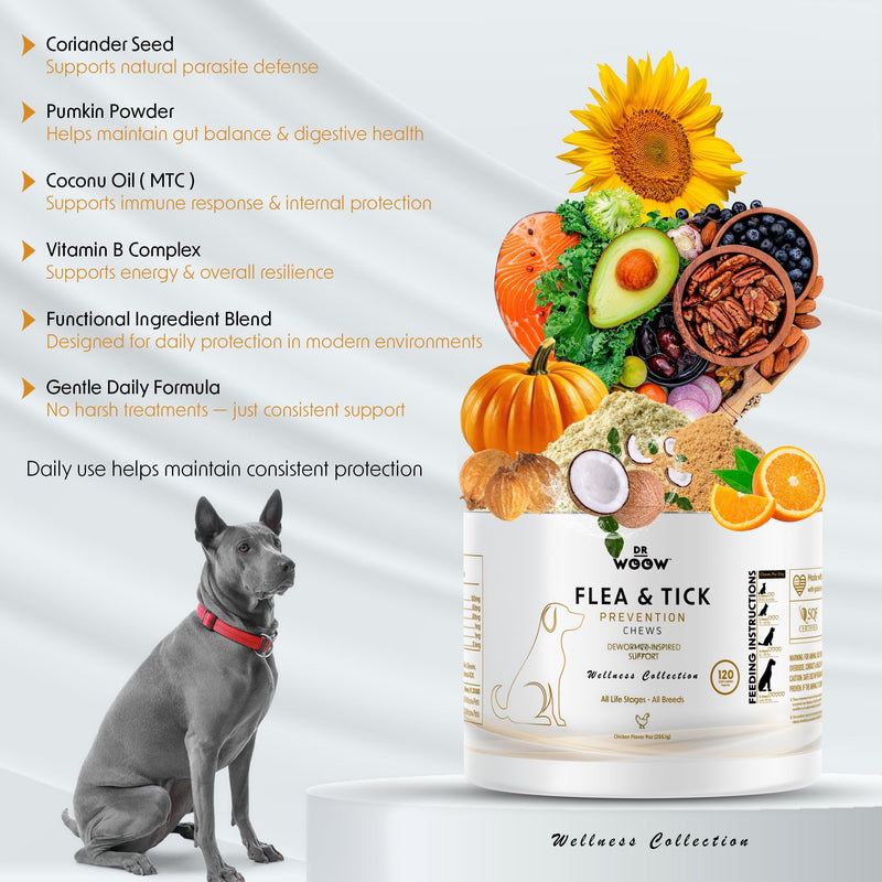 Dog Flea & Tick Prevention Chews – Daily Defense Supplement for Parasites, Gut & Immune Support – Natural Formula Soft Chews – Made in USA – Dr. Woow (120 Ct) Flea & Tick Relief