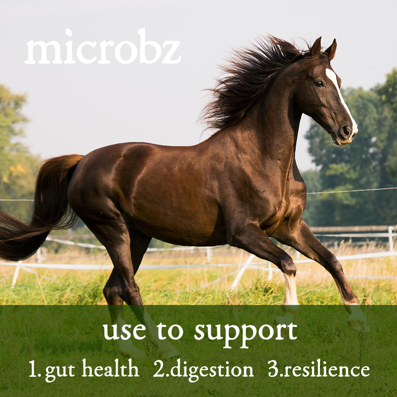 MICROBZ HORSE NUTRITION | 1 Litre | Liquid Beneficial Microbes for Horses & Foals, to Support Equine Digestive Health, Immunity & Performance - 100% Natural