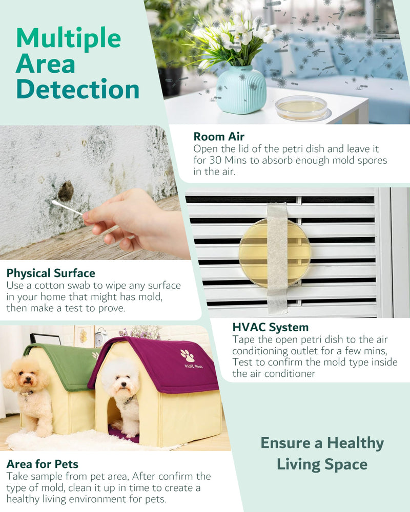 Mold Test Kit for Home - 12 Simple Detection Tests for HVAC, Surfaces & Indoor Air Quality, DIY Black Mold Detector Testing kit at Home, with Detailed Identification Guide & Free Lab Analysis 12 Test Plates
