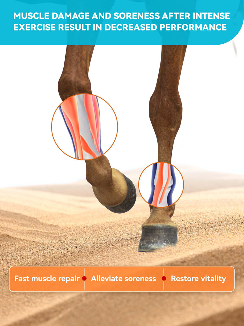 Natural Vitamin E & Selenium for Horses Muscle Build Support for Active Horses Equine Vitamin E Powder Supplement 100-Day Supply Big Tub