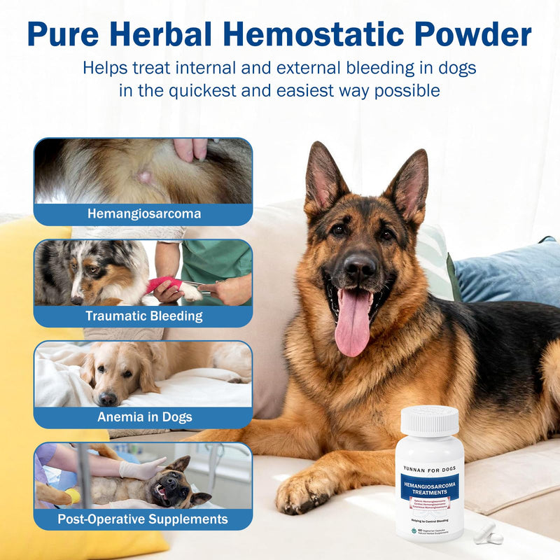 Fast Acting Bleeding Control for Dogs - Yunnan Sanqi Herbal Capsules, Supports Internal Bleeding, Hemangiosarcoma, Nosebleeds, Bloody Stools, Post-Surgical Recovery, 60 Capsules