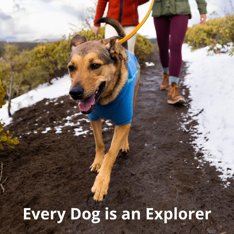 Ruffwear, Roamer Bungee Dog Leash for Running, Biking or Hiking, Can be Used Hand-Held or Hands-Free, Yellow Snow, 7.3'-11' 7.3'-11' - BeesActive Australia