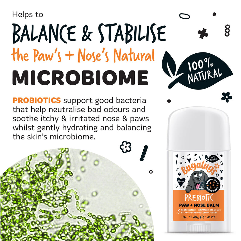 Bugalugs Prebiotic Dog nose balm, Natural lick safe Paw balm for dogs contains Pumpkin Powder for itchy skin and supports your dogs Microbiome (Prebiotic Paw & Nose Balm) Prebiotic Paw & Nose Balm