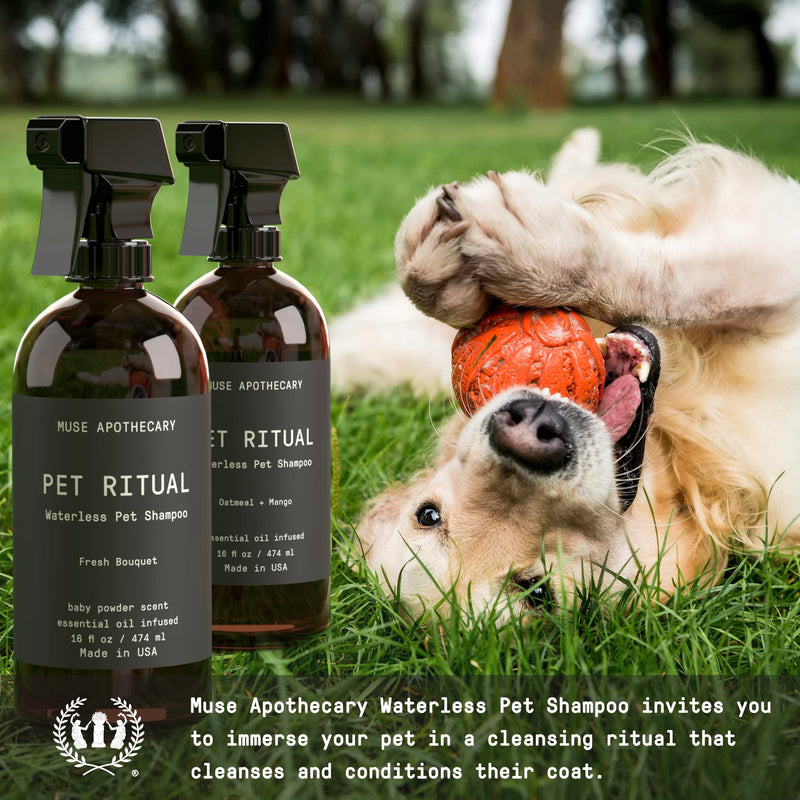 Muse Apothecary Pet Ritual Aromatic Waterless Shampoo for Pets - No Rinse Dog Shampoo - Waterless Shampoo for Cats - Waterless Dog Shampoo for Large Dogs - Essential Oils Infused, 16oz Fresh Bouquet 16 Fl Oz (Pack of 1) - PawsPlanet Australia
