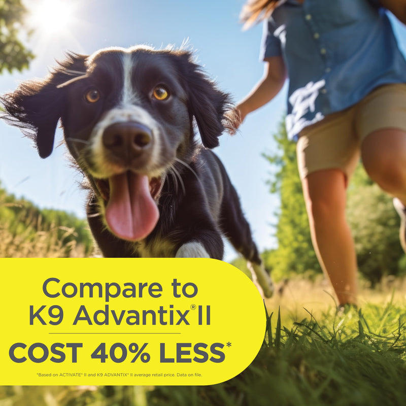 TevraPet Activate II Flea and Tick Prevention for Dogs | 4 Count | Medium Dogs 11-20 lbs | Topical Drops | 4 Months Flea Treatment (Pack of 2) Medium 11-20 lbs (Pack of 2)