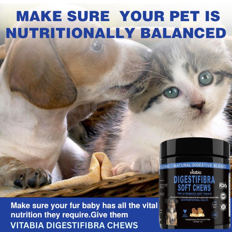 DigestiFibra Chews for Dogs - Probiotic & Prebiotic Soft Treats for Gut Health, Anal Gland Support, Digestion & Scooting Relief - 60 dog treats 60 Count