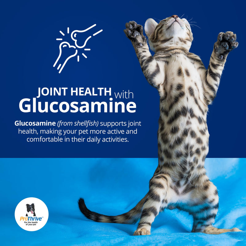 PROTHRIVE Spunky Digestive Supplement - Probiotics, Digestive Enzymes, Joint Support for Cats and Dogs | Pet Probiotics for Dogs and Cats - 8oz