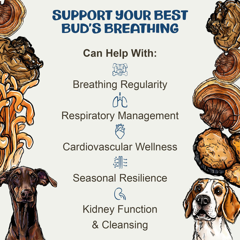 MycoDog Breathe Dog Allergy Relief Drops 2 fl. oz.: Mushroom Extracts & Ashwagandha Tincture | Respiratory Support Itch Relief for Dogs | Chaga & Reishi Mushroom Blend