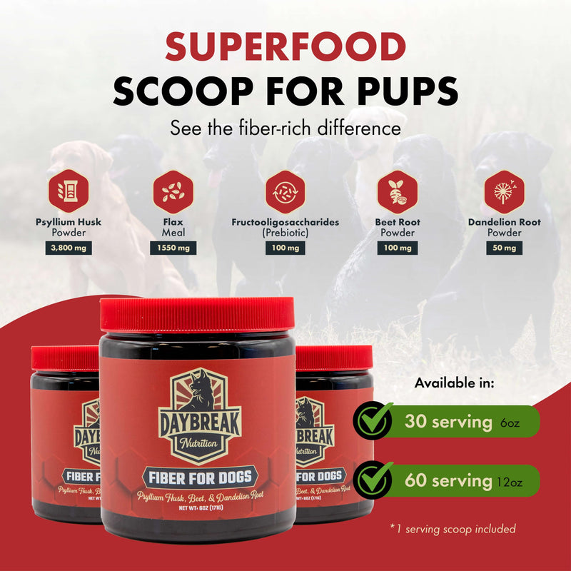 Fiber for Dogs Psyllium Husk, Beet Root, Dandelion Root, and Prebiotics to Aid in Relief from Diarrhea, Constipation, Anal Gland Issues, and Scoots 12 Oz - BeesActive Australia