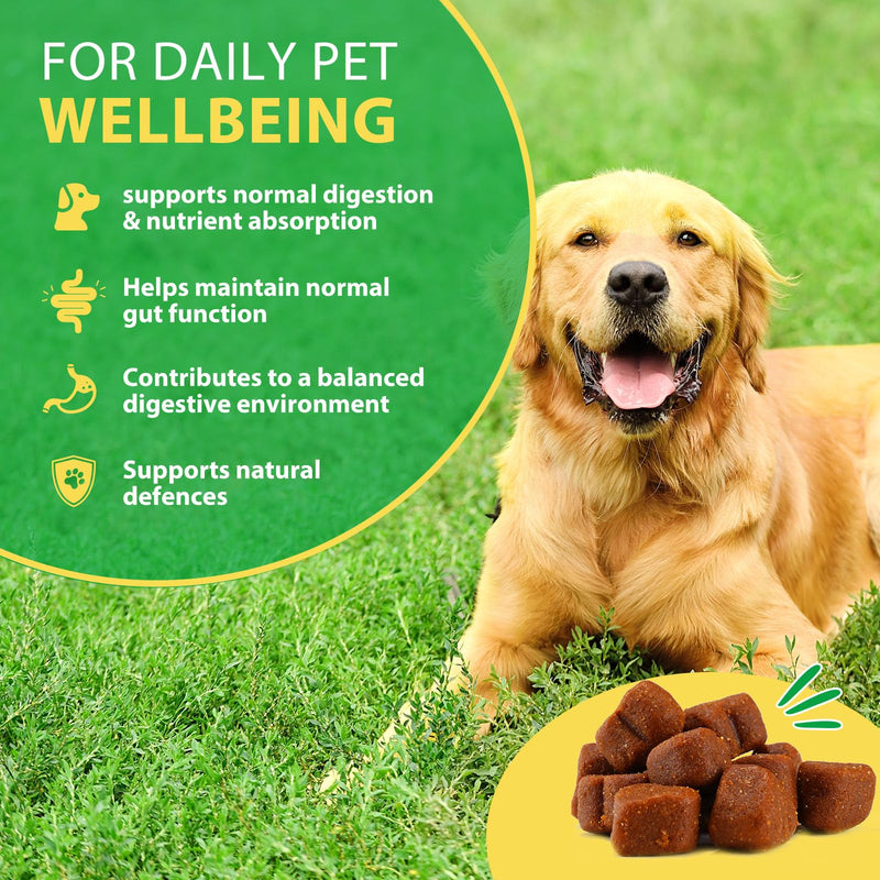 Digestive Probiotics Chews for Dogs, Canine Supplements for Digestive and Immunity Support, Probiotics Treats for Digestive Support, Gut Health, Bad Breath & Itchy Skin, Duck Flavor(120 Count)