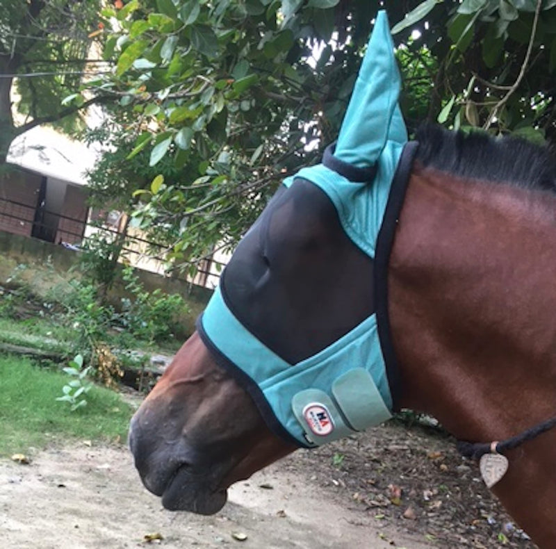 Majestic Ally Horse Fly Mask with Ears, Comfort Durable Fine Mesh, Soft Fleece Touch on Skin, Protect Eyes and Ears (Turquoise) Turquoise - BeesActive Australia
