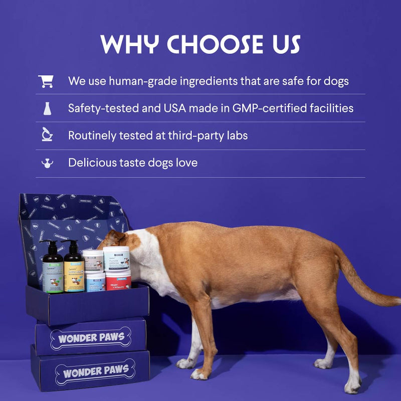 Organic Pumpkin for Dogs – Organic Pumpkin Fiber for Dogs – with Apple, Sweet Potato & Enzymes for Gut Health, Stool, Constipation & Digestion – Fiber Topper Or Mix with Water to Create Pumpkin Puree - BeesActive Australia