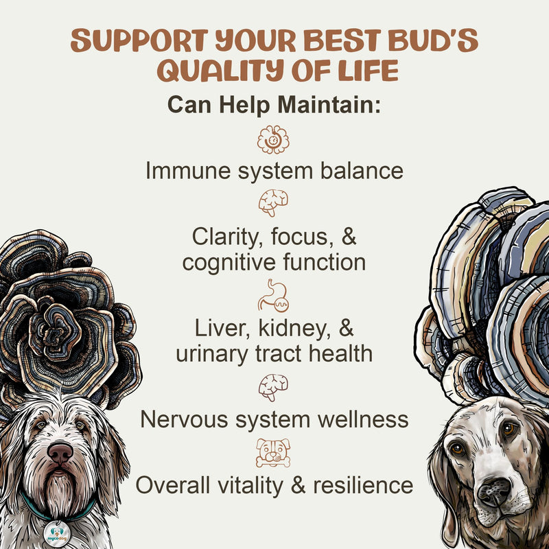 MycoDog Turkey Tail Mushroom for Dogs - Immune & Gut Health Support - Turkey Tail Supplement for Dogs - Daily Wellness Drops