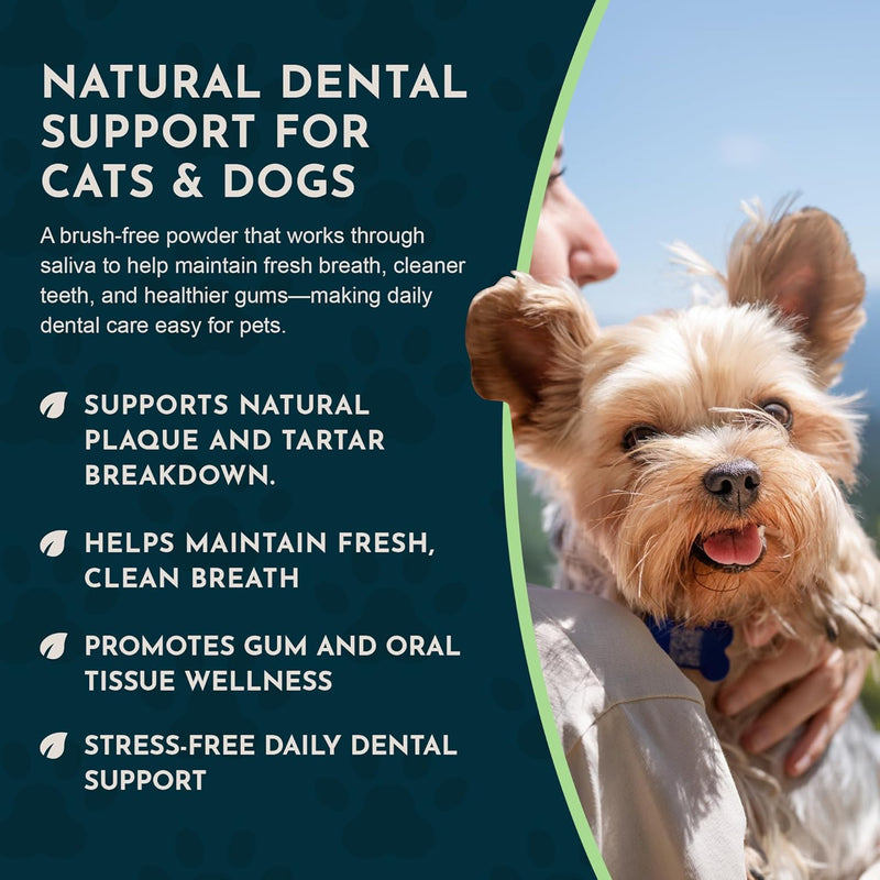 Animal Essentials SeaDent for Dogs - Kelp and Enzymes Plaque, Tartar Control Formula, Alpha Beta Amylase, Cellulase, Marshmallow Root, Slippery Elm Inner Bark, All Natural - 2.5 Oz (Pack of 1) - BeesActive Australia
