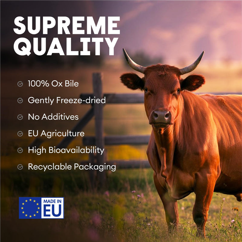 Nutriest Ox Bile Salts (60 Capsules) – Ox Bile 500 mg | Bovine Bile Salts from Europe | Supports Normal Fat Digestion