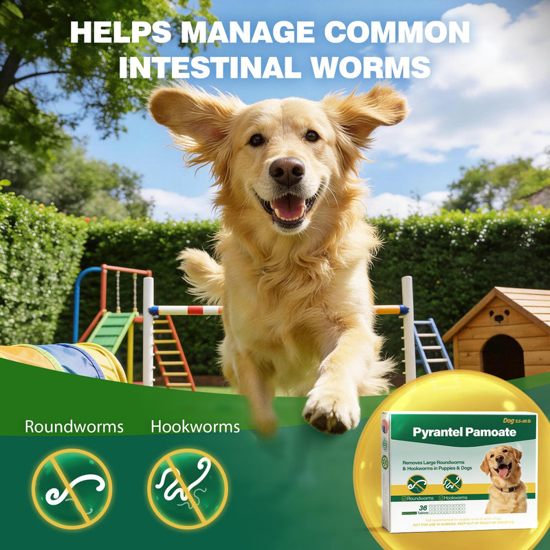 Dog Dewormer Pyrantel Pamoate, Chewable Tablets for Dogs & Puppies, Roundworms & Hookworms, Easy Dosing, 36 Tablets