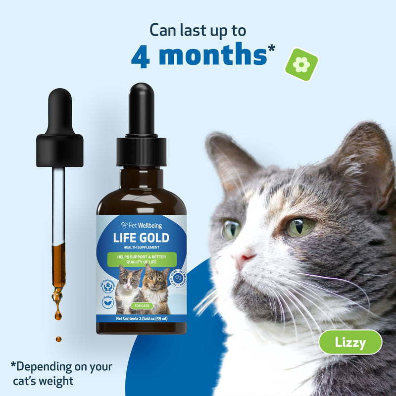 Pet Wellbeing Life Gold for Cats - Immune Support, Antioxidants, Detoxification, Cellular Health, Astragalus, Blessed Thistle, Sheep Sorrel - Veterinarian-Formulated Herbal Supplement 2 oz (59 ml) 2oz - BeesActive Australia