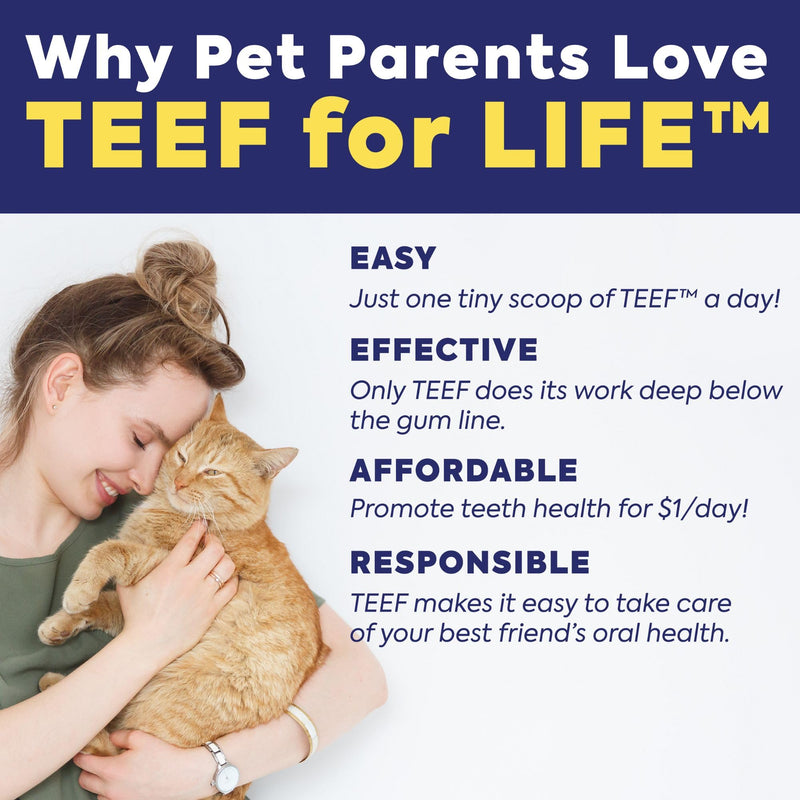 TEEF FOR LIFE Refill Packet Protektin30 Prebiotic Dental Powder for Cats, Plant-derived, clinically-Proven Formula Naturally Fights Bad Breath, Plaque, and Tartar, 1 Packet with 30 Servings Refill Packet (30 Servings)