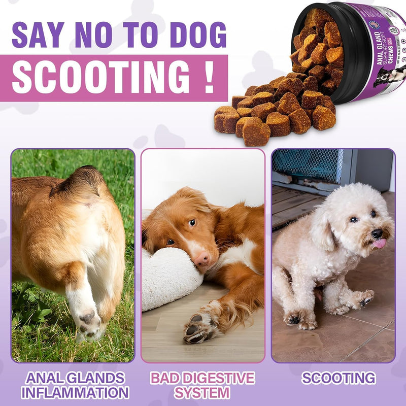 Dog Anal Gland Soft Chews 150 Stop Scoot for Dogs Supports Anal Gland Bowel Function Digestive Health Fiber Pumpkin Supplement for Dogs