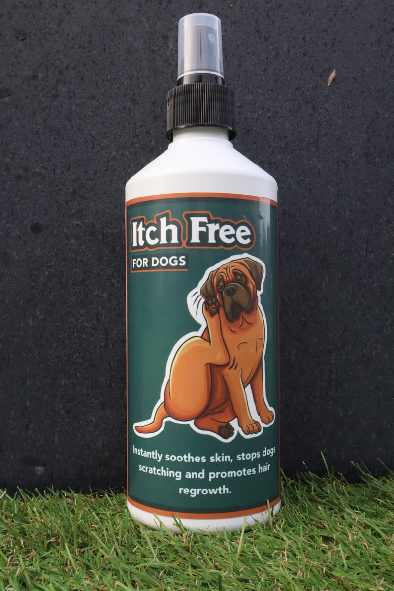 Henry's Pet Care - Itch Free For Dogs 500ml - Specialised Lotion Designed to Help Alleviate Itching, Reduce Scratching, Promote Hair Regrowth and Prevent Licking - All-Natural Lotion for Itchy Dogs