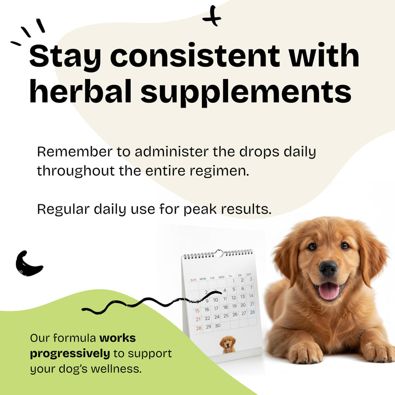 Forever Puppy Cardio Drops for Dogs - Hawthorn Berry & Motherwort Herb - Liquid Antioxidant Supplement with Gotu Kola Leaves & Lavender Extract - 2 fl oz
