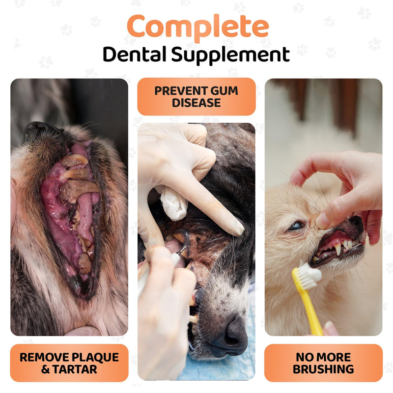 DogsLife Plaque Off Powder for Dogs - 200g | Organic Dog Teeth Cleaning Product | Tartar Remover & Breath Freshener | 100% Natural Dog Plaque Remover 1 count (Pack of 1)