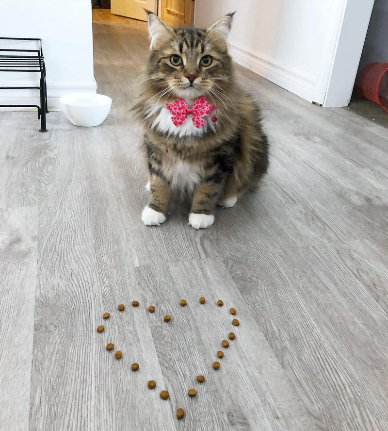 Valentines Day Cat Bow Tie Collar Adjustable Breakaway Collar with Bells, Heart Bowtie Kitten Collar - BeesActive Australia