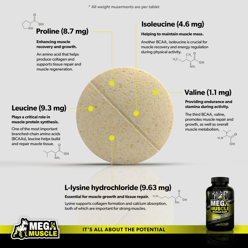 Dog Muscle & Joint Support Bundle – Mega Muscle Chewable Tablets + Scoop A Day Blue Mussel Powder | High Protein, Weight Gain, Mobility & Immune Booster | All Life Stages | Made in USA