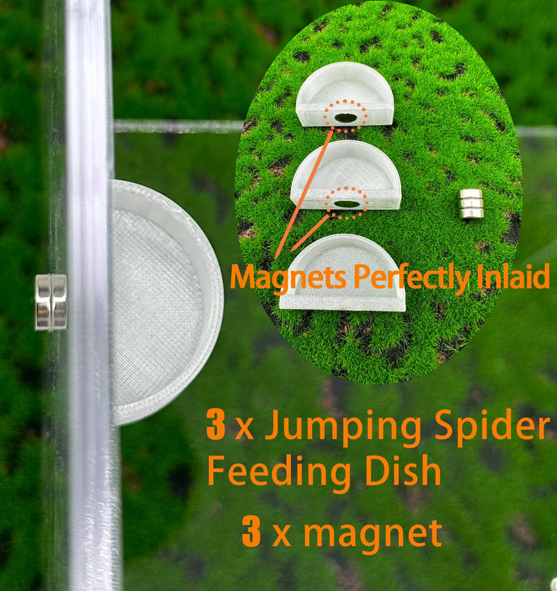3 PCS Jumping Spider Feeding Dish, Tiny Food Dishes Water Dish for Jumping Spider, Tarantula and Other Small Pets, Half Round - BeesActive Australia