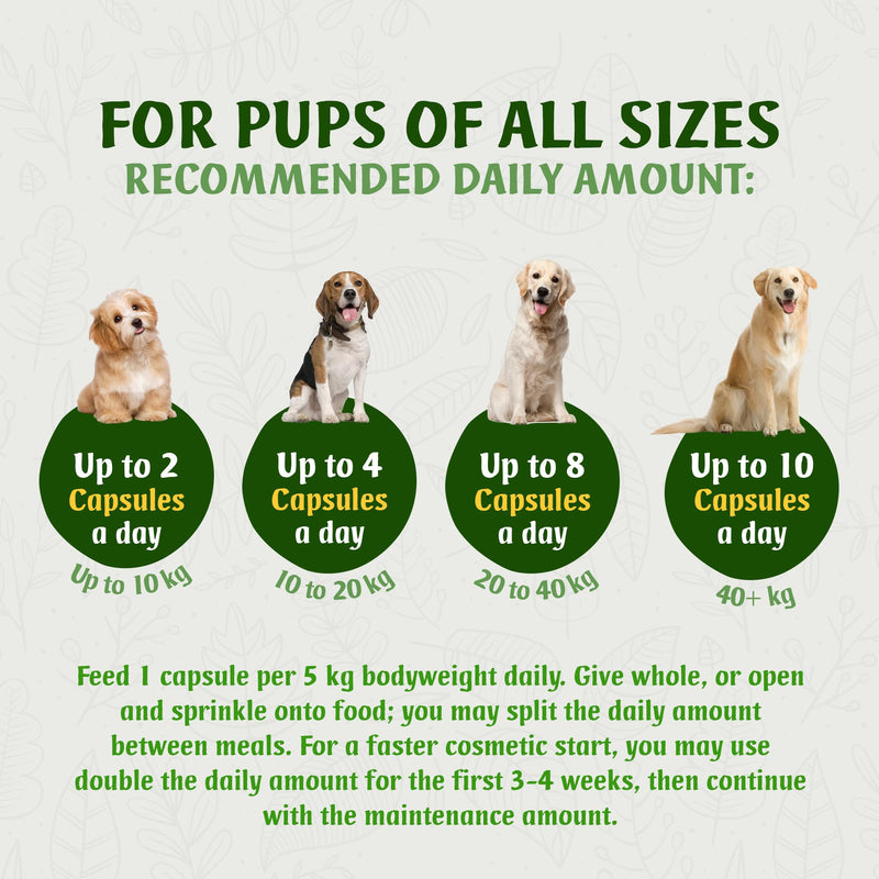 Marine Collagen for Dogs, Supports Dry and Itchy Skin, Shiny Coat & Healthy Gums, Premium Micronised Peptides, Skin Health Dog Supplement, 120 x 500mg Open & Sprinkle Capsules