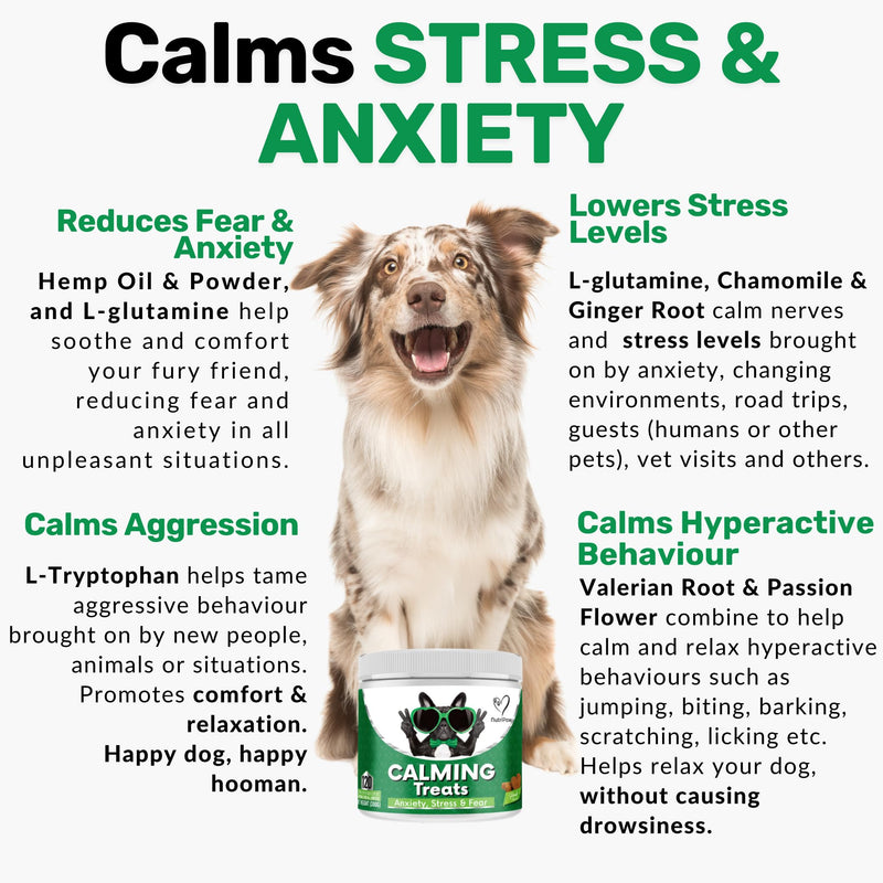 NutriPaw Calming Treats For Dogs - Reduce Stress, Fear, Separation, Barking, Hyperactivity, Reactivity, Aggression, Travel - Calm without Drowsiness dogs Single Pack