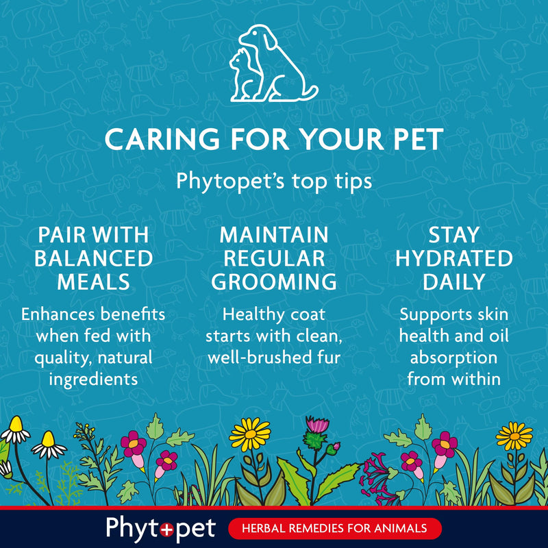 Phytopet Scottish Salmon Oil for Dogs, Cats, Horses and Small Mammals, Contains Omega 3 for Cats and Dogs 500ml - 100% Herbal Phytopet Pet Supplies