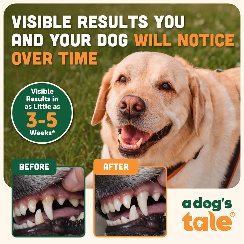 Plaque Off Powder for Dogs | Dogs Dental Powder for Teeth Cleaning, & Tartar Removal – Seaweed Plaque Remover with Probiotics for Gut Health & Fresh Breath – Up to 150 Days Supply