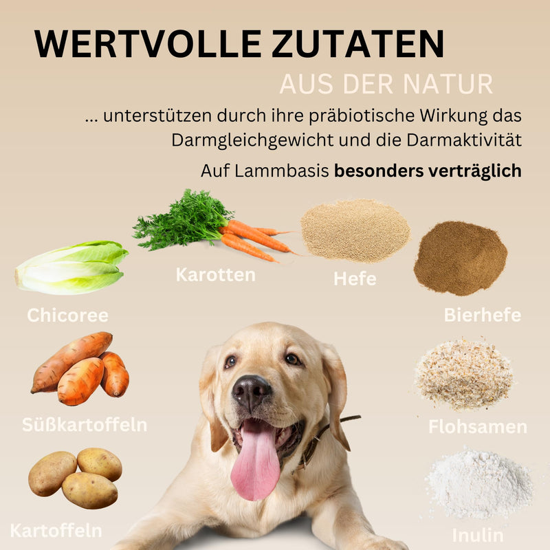 PawNutrio® - Digestive drops with prebiotics for dogs I supports grass and feces eating I diarrhea & heartburn I 100% natural I approx. 120 pieces. I Monoprotein I Hypoallergenic 300 g (1 x can) - BeesActive Australia