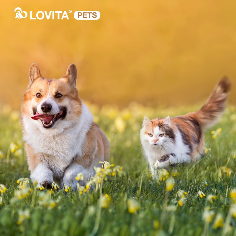 LOVITA Eyes Care for Pets - Supports Vision Clarity and Eye Health for Dogs & Cats - 60 Chicken-Flavored Capsules