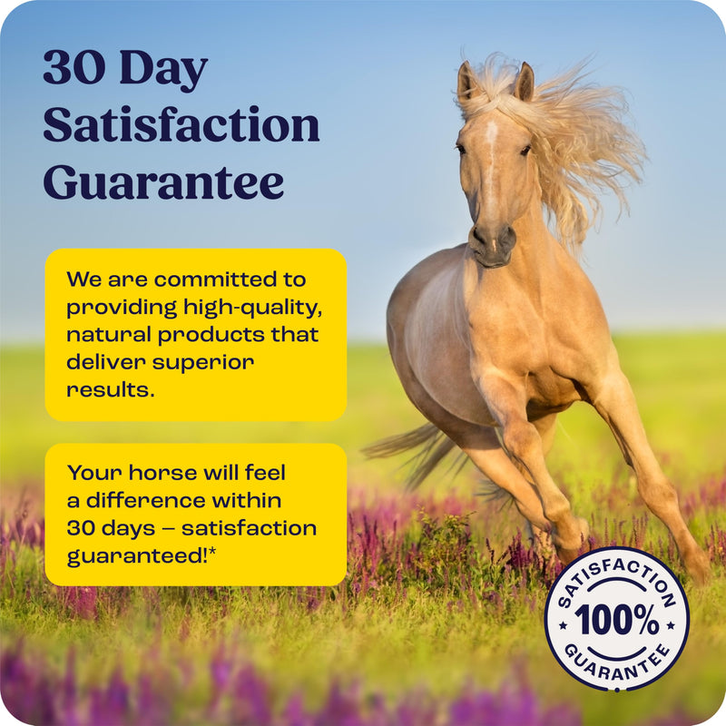 Gut Relief & Balance
