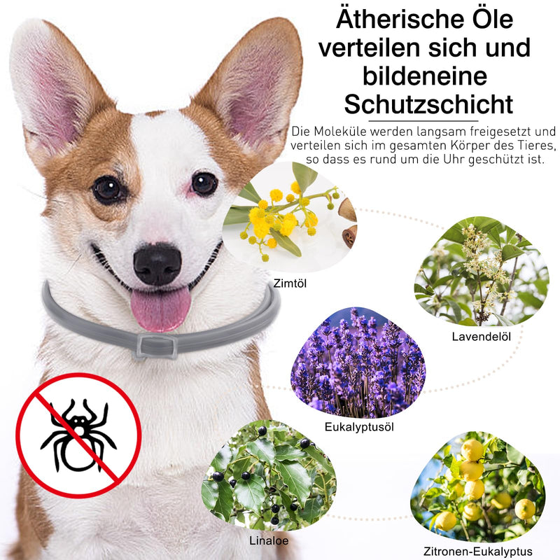 DEWEL tick collar for dogs - 8 months protection - 63.5 cm adjustable for all sizes - waterproof dog flea collar, flea protection collar for dogs (2 units) - BeesActive Australia