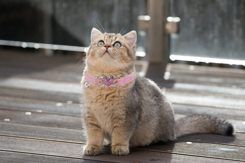 Heart Bling Cat Collar with Safety Belt and Bell Adjustable 8-10 inches for Kitten Cats (Pink) Pink
